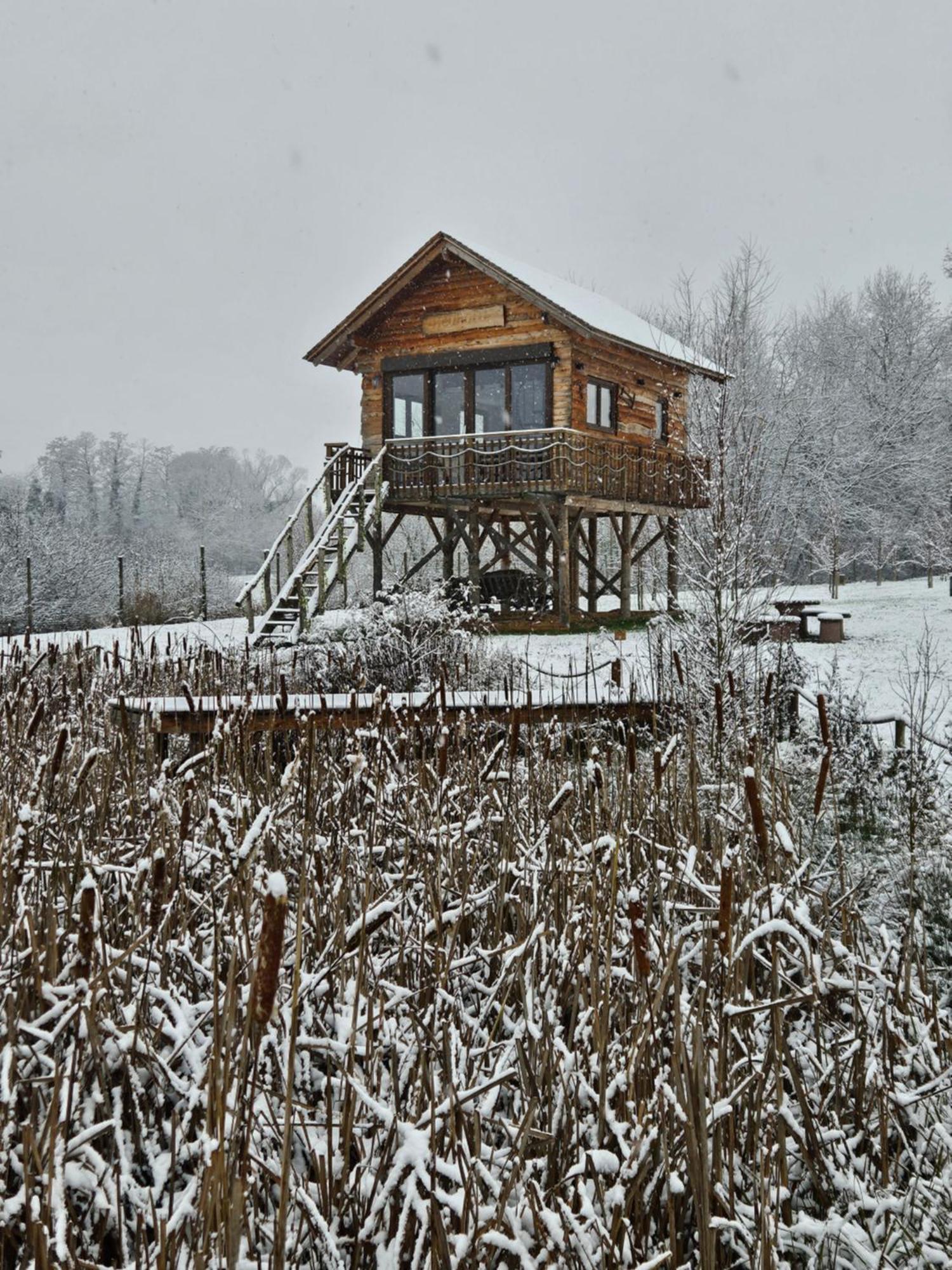 Apartamento Baumhaus Heuhuette *