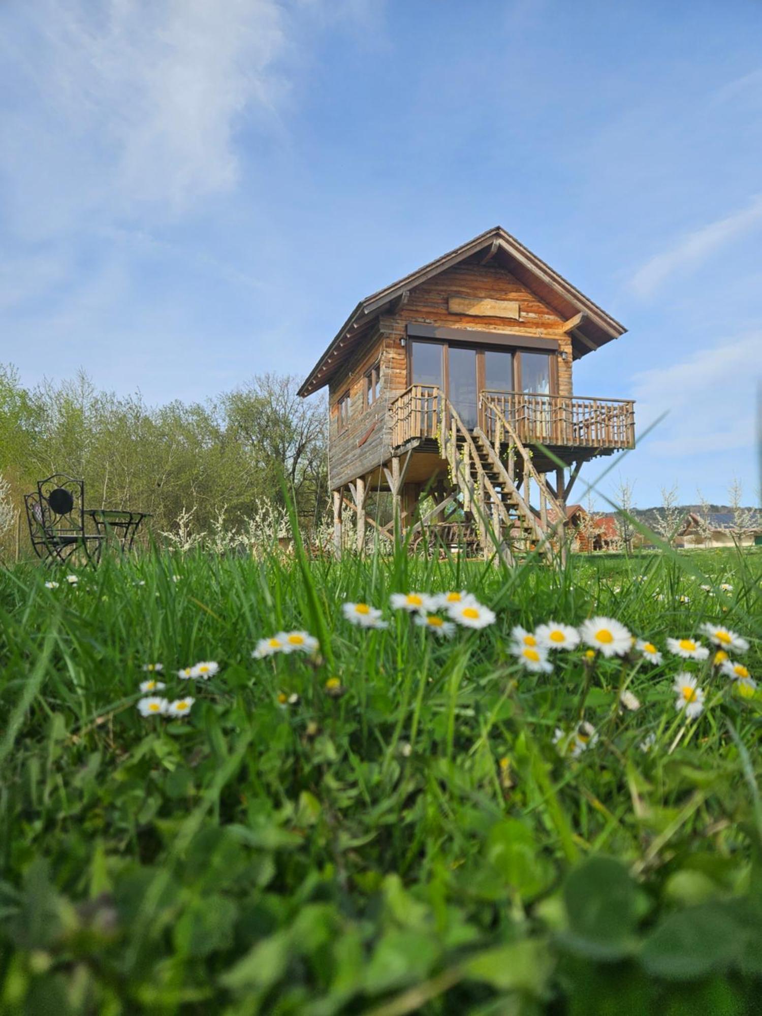 Apartamento Baumhaus Heuhuette *